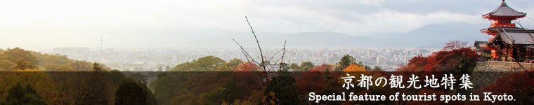 京都の観光地特集！ Special features of tourist spots in Kyoto!