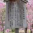 Heian Jingu Shrine39