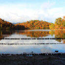 宝が池公園