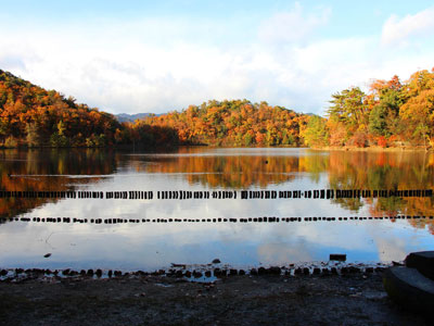 宝が池の風景写真1