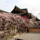 Kitano Tenmangu Shrine