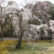 Kyoto Imperial Palace44