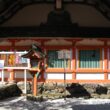 Kamigamo Shrine13