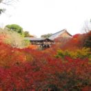 Tofuku-ji Temple