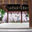 Hirano Shrine12