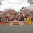 Hirano Shrine24