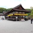 Shimogamo Shrine18