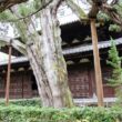 Daitokuji Temple Kotoin7
