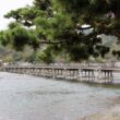Arashiyama park11