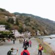 Arashiyama park14