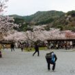 Arashiyama park27