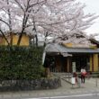 Arashiyama park35