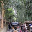 Arashiyama park38