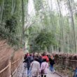 Arashiyama park40