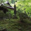 Shojiji temple28