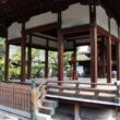 Shimogoryo Shrine9