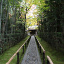 大徳寺 高桐院