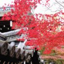 Eikando Temple