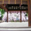 平野神社12