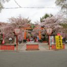 平野神社