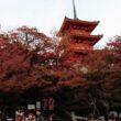 Kiyomizu-dera Temple66