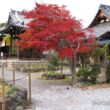 Otokuni Temple11