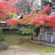 Otokuni Temple24