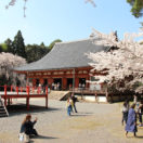 Daigoji Temple