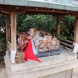 Kitano Tenmangu Shrine22