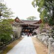 Kitano Tenmangu Shrine45