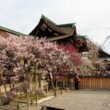 Kitano Tenmangu Shrine57
