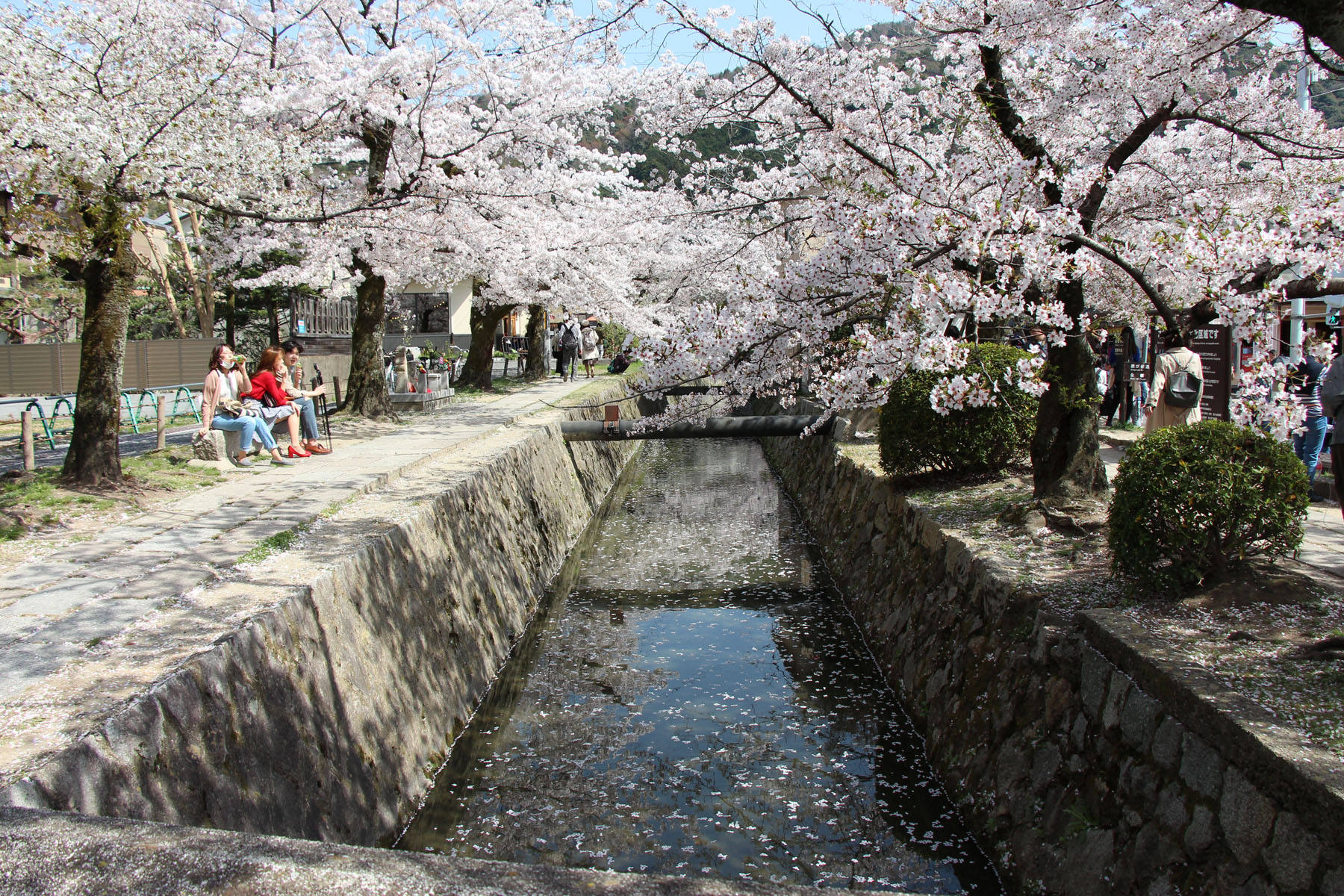 哲学の道の写真 - 京都の観光地 - 京都観光ネット