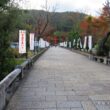 Matsuno-taisha Shrine3