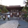Matsuno-taisha Shrine12