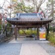 Matsuno-taisha Shrine20