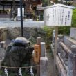 Matsuno-taisha Shrine22