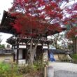Matsuno-taisha Shrine25