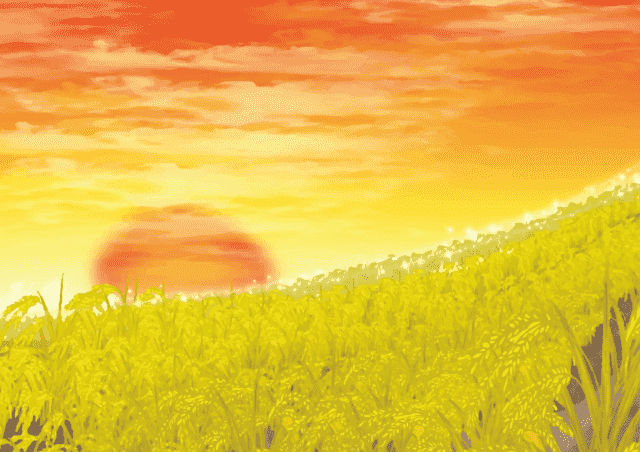 Image of a field at sunset