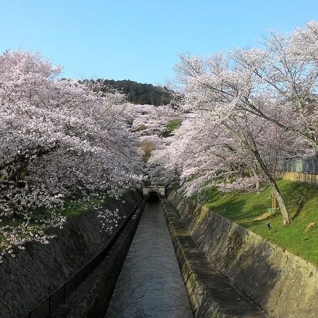 The current canal of Lake Biwa.