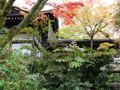 Koetsuji Temple