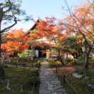 Rokuoin Temple