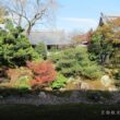 Shokoku-ji Temple24