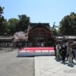 Iwashimizu Hachimangu Shrine34