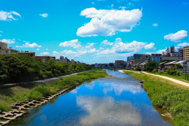 Kamogawa River Pictures