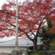 Awata Shrine28