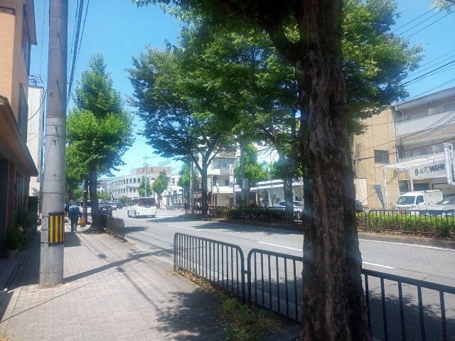 堀川北山付近の散歩道。