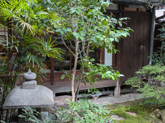 坪庭