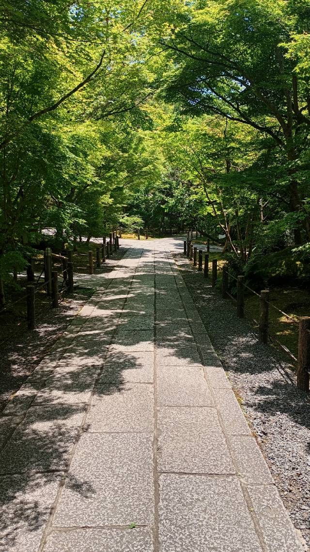 阿弥陀堂へと続く道。