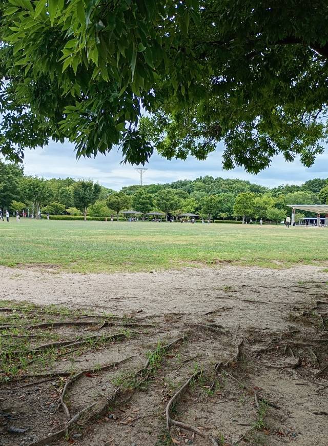 梅小路公園。