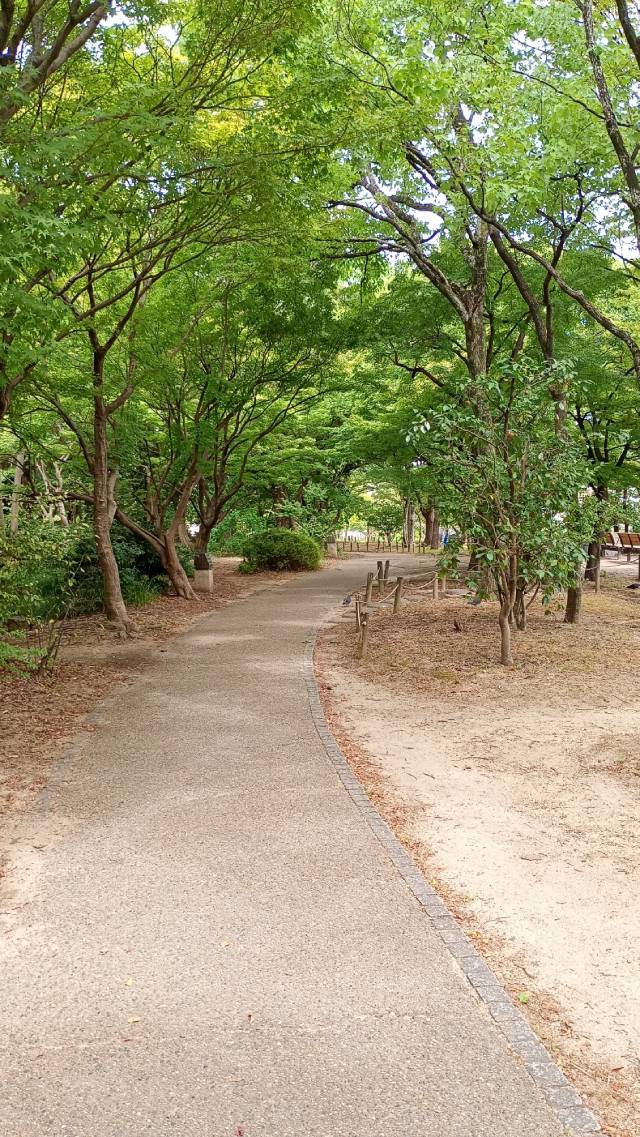 いのちの森。
